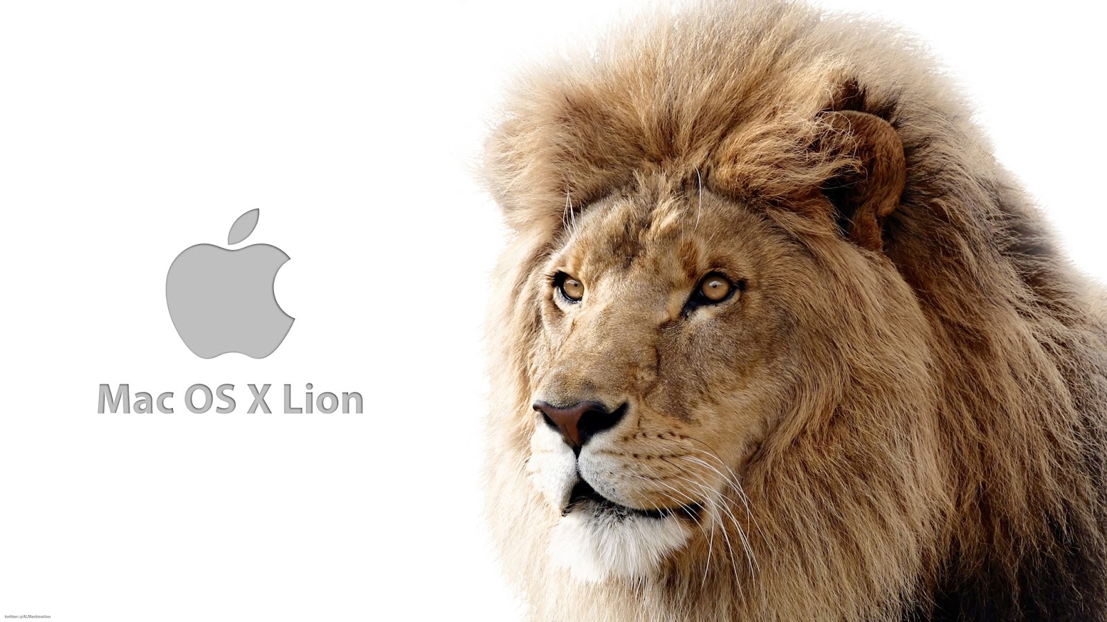 Mac Os X Lion Free Download Dmg